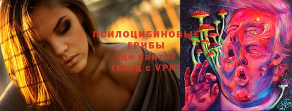 гашик Балабаново
